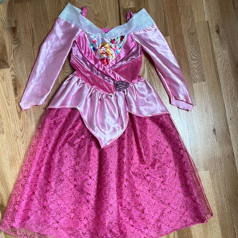 Barely worn Disney princess dress
